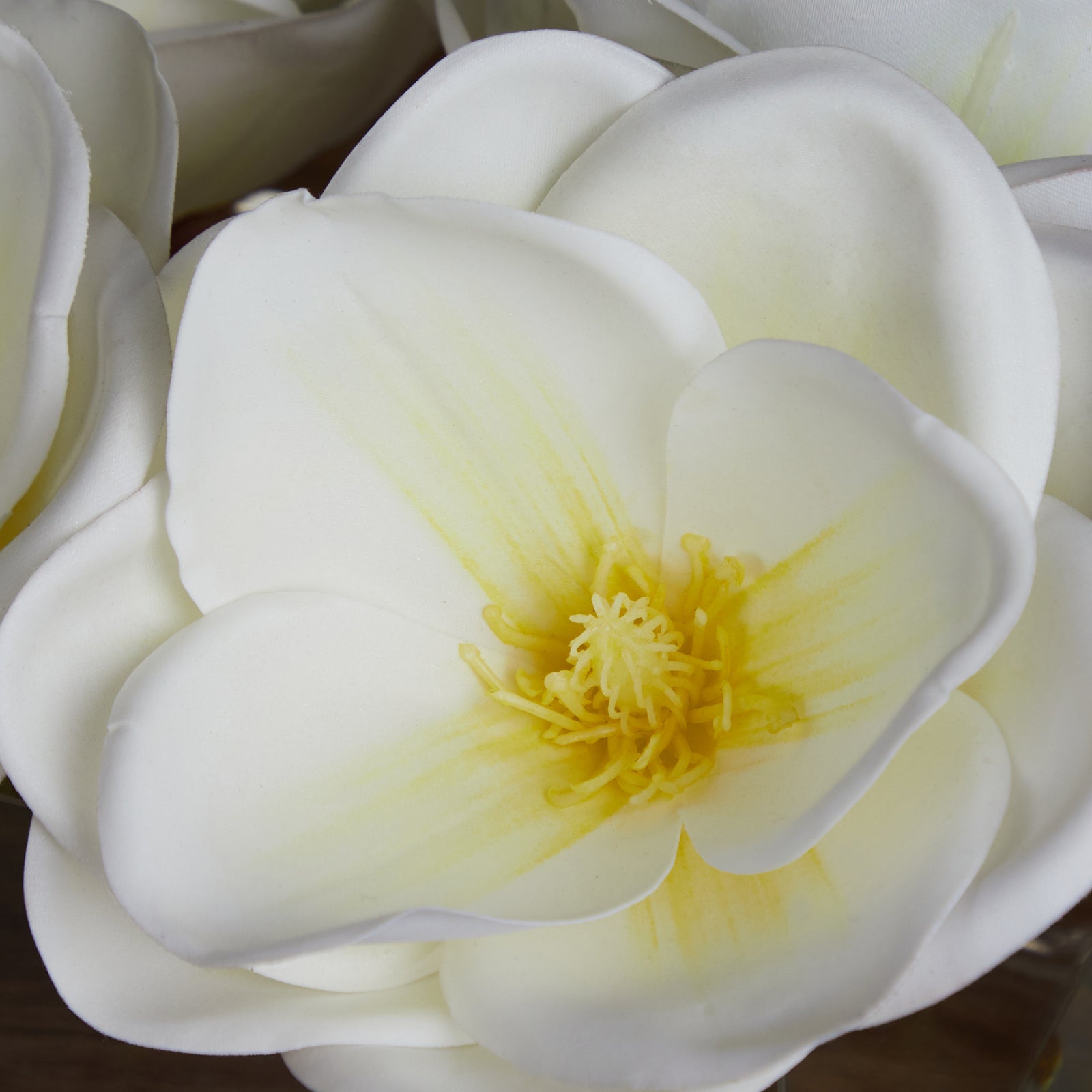 Rectangular Magnolia Arrangement in Acrylic Vase