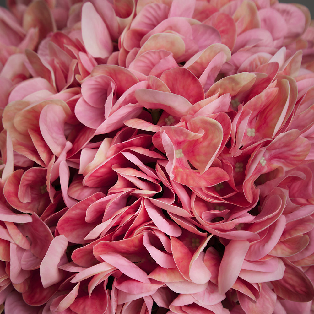 Pink Hydrangea Arrangement Large size