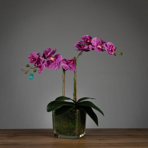 Artificial Double Purple Orchid in Cubic Glass Vase