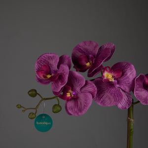 Artificial Double Purple Orchid in Cubic Glass Vase