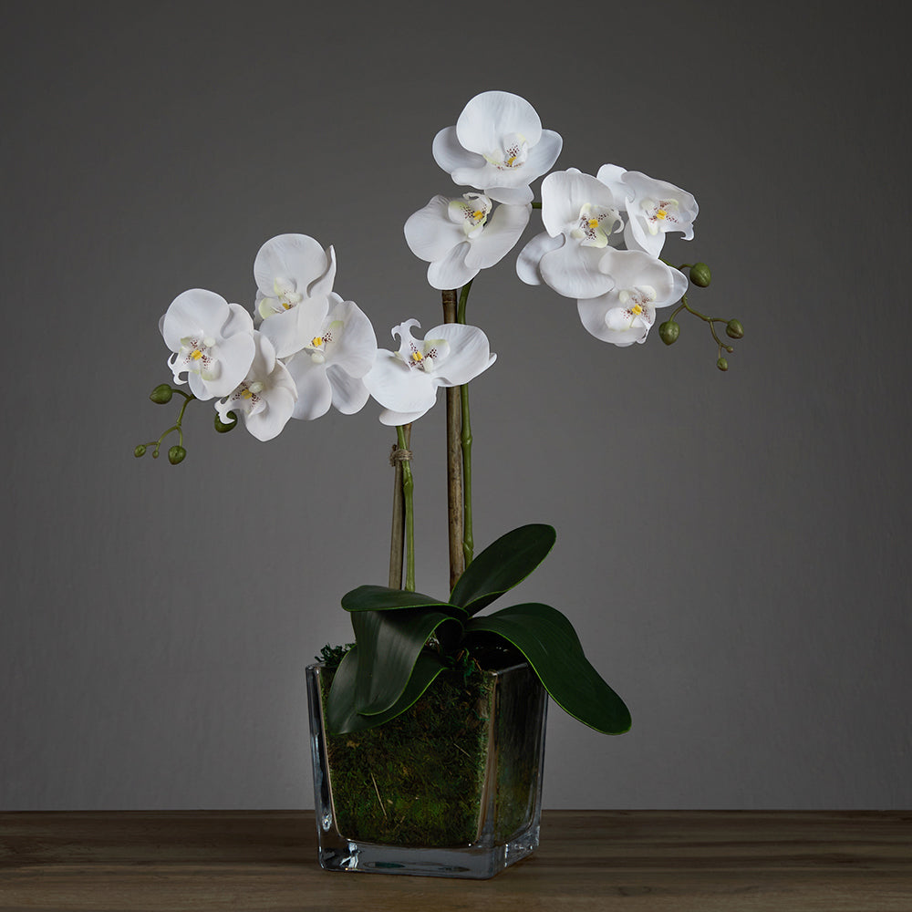 Artificial Double White Orchid in Cubic Glass Vase