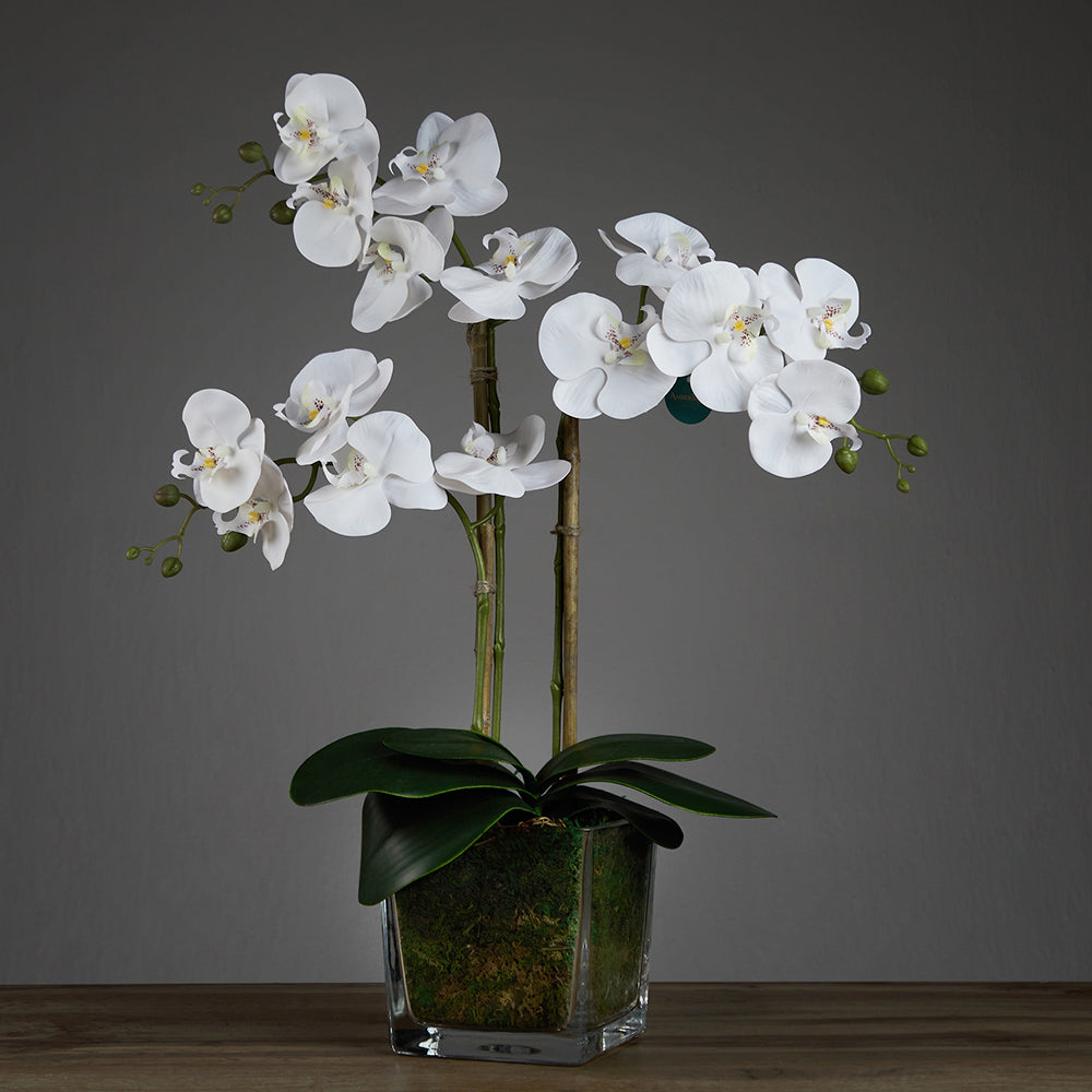 Artificial Triple White Orchid in Cubic Glass Vase