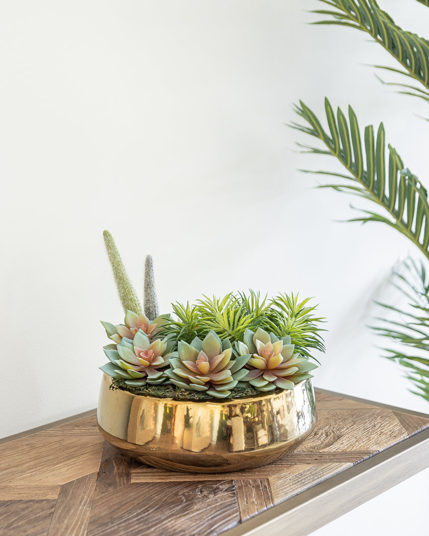 Secret Garden Succulent Pot
