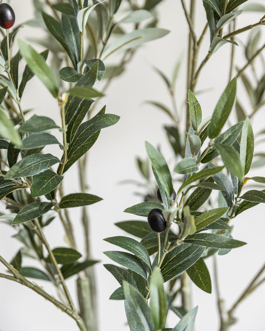 Artificial Olive Tree Plant 180cm (w/o pot)