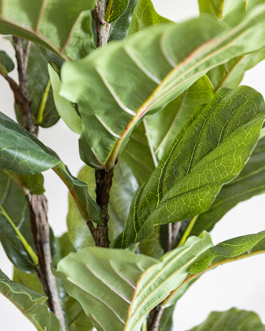 Artificial Fiddle Tree Plant 170cm (w/o pot)