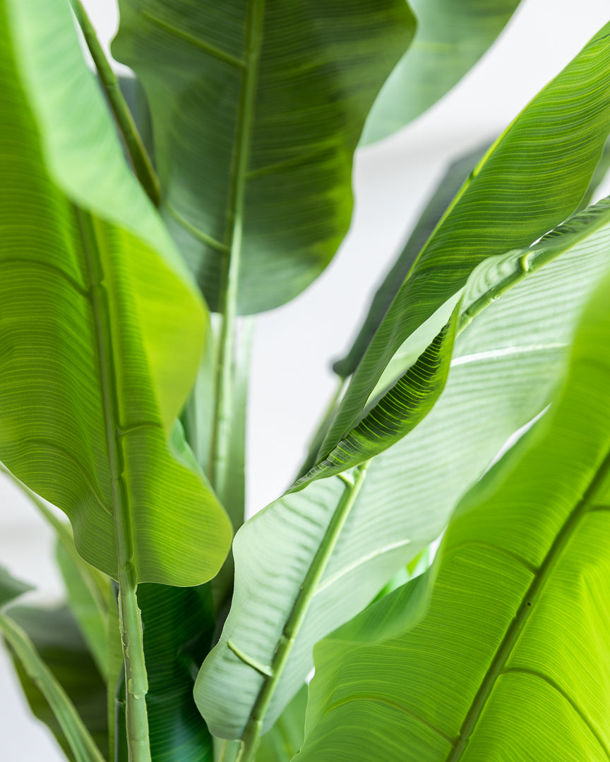 Artificial Banana Tree Plant 180cm (w/o pot)