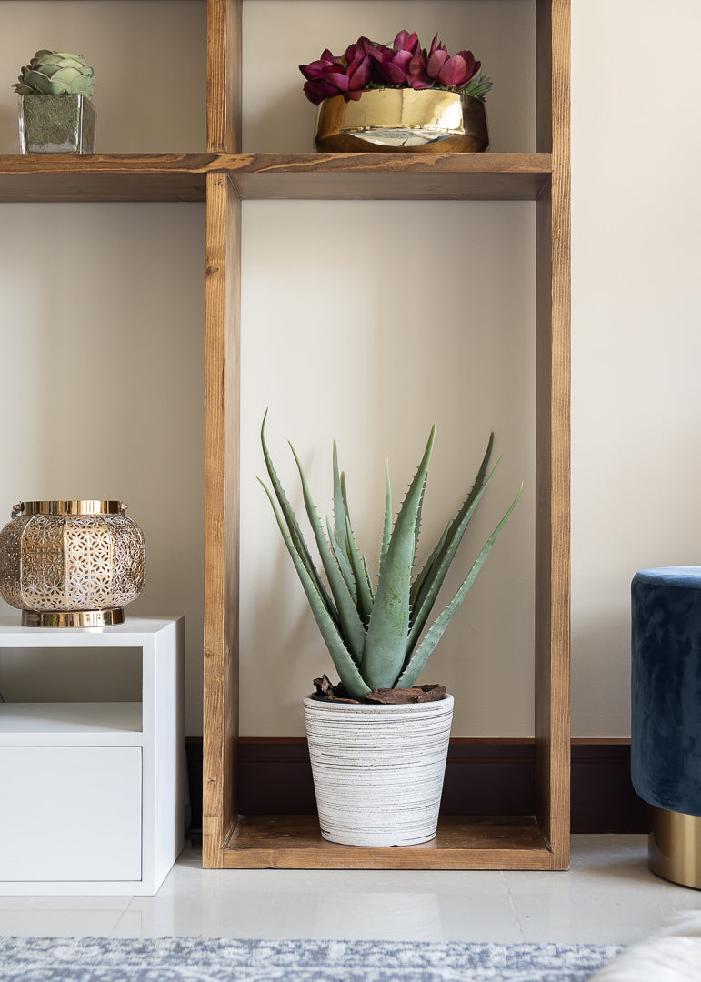 Potted Aloe Vera Tree