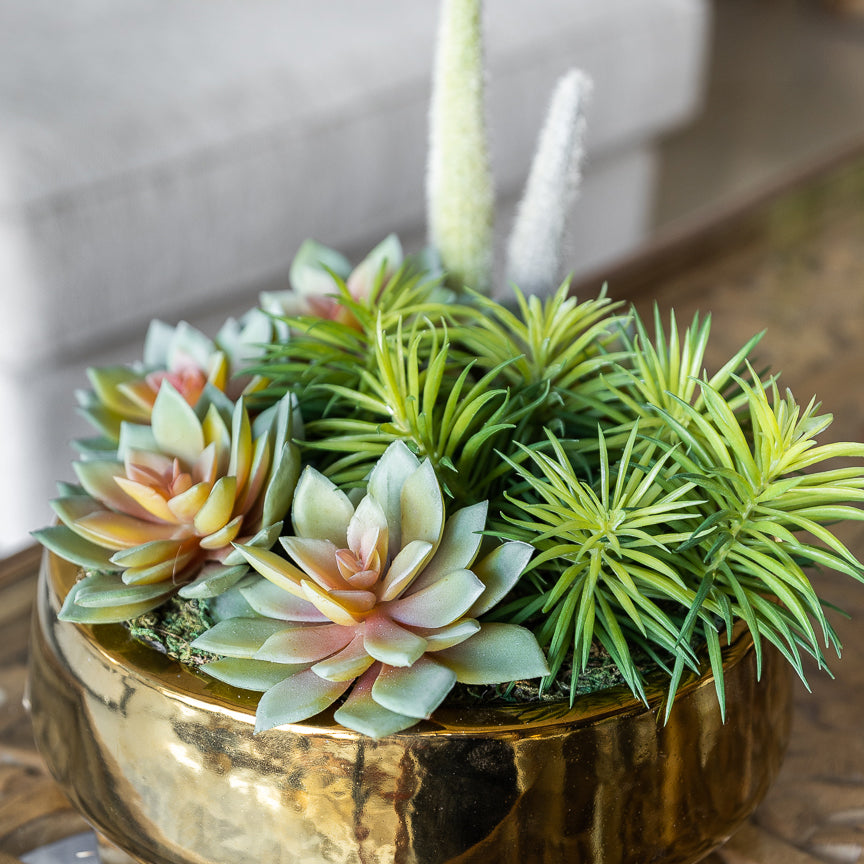 Secret Garden Succulent Pot