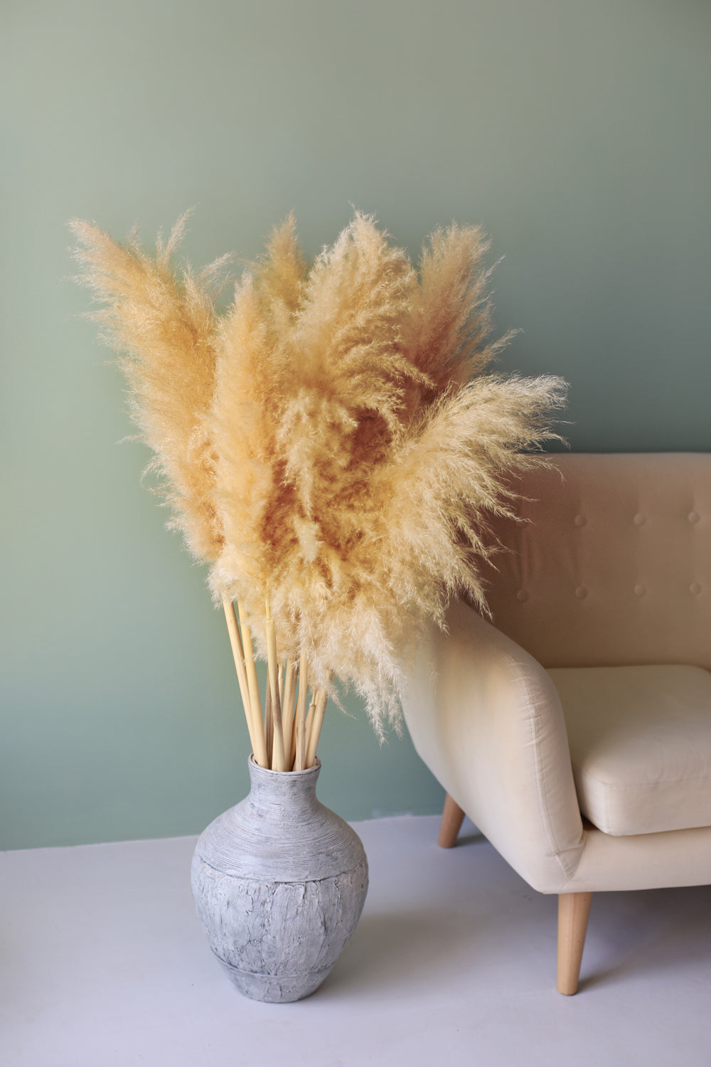 Pampas Grass Bundle of 3 stems