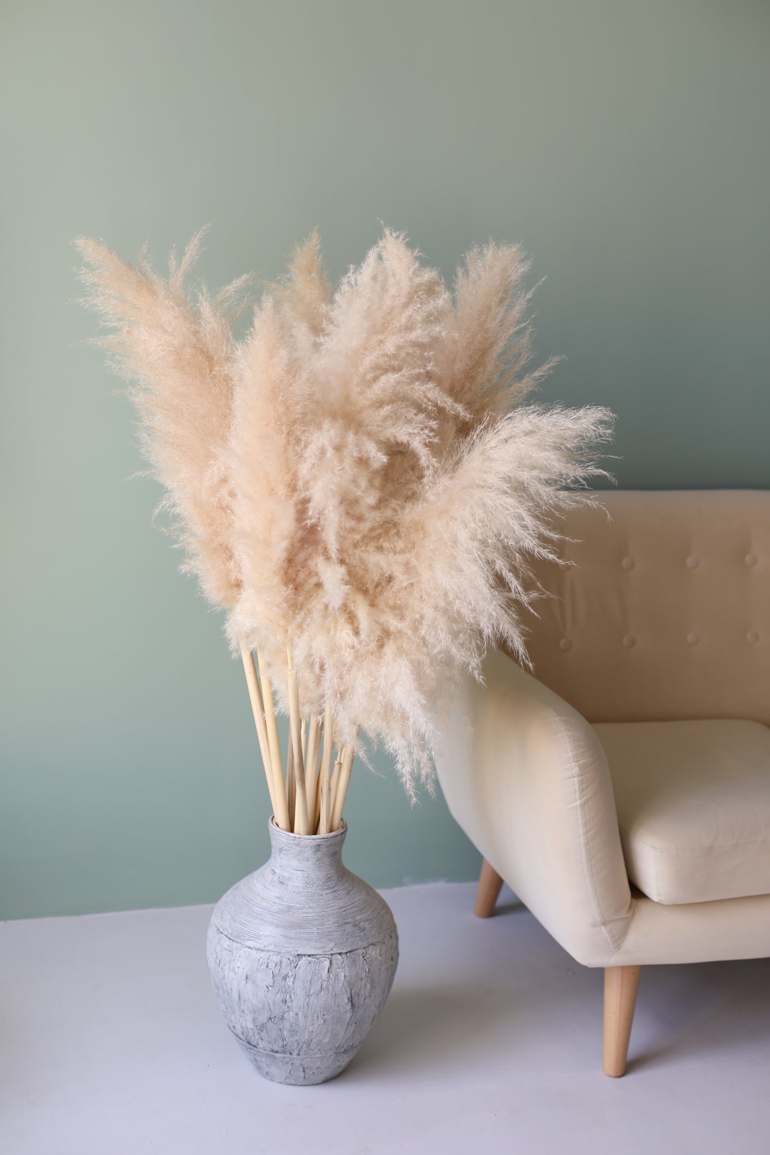 Pampas Grass Single Stem