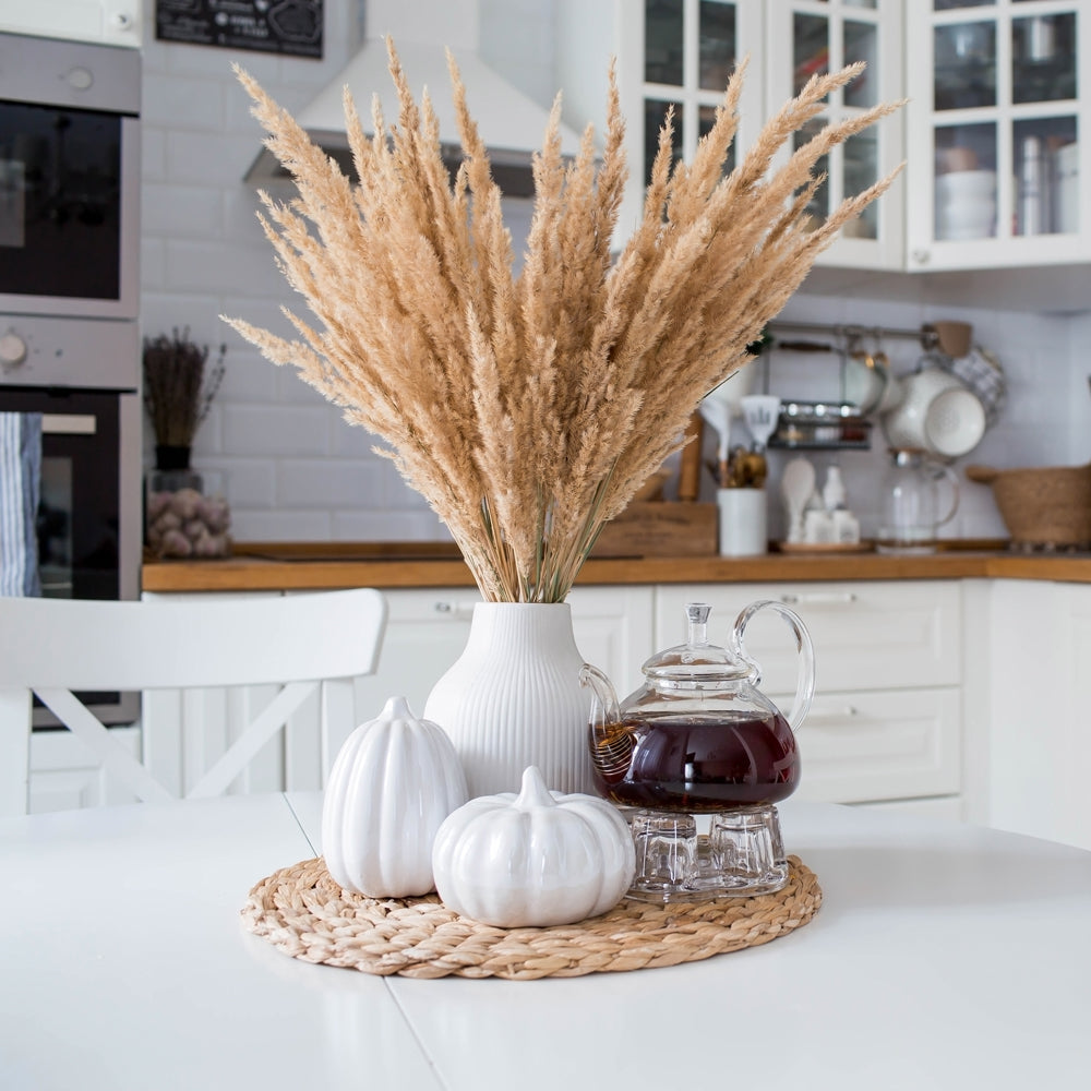 Pampas Grass Bundle of 5 stems Natural Beige